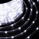 LED Rope Lights for Outside 100Ft Waterproof Rope Lighting 429 LEDs 110V 8 Modes Remote Control Timer Christmas Rope Lights for Indoor Outdoor Party Holiday Garden Decoration (White) by GreenHaven Gardens