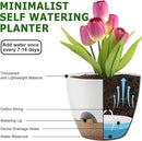 Plant Pots 12/10/9 Inch Self Watering Pots, Set of 3 Plastic Planters with Drainage Holes and Saucers,Plastic Flower Pots,Nursery Planting Pot for Indoor Out Door Plants(White) by GreenHaven Gardens