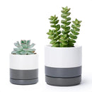 D'vine Dev 3.5 Inch & 4.7 Inch Ceramic Planter Pots for Plants with Drainage Hole and Saucer, X-Small Plant Pots Set, White/Speckled Grey, 94-G-XS-6 by GreenHaven Gardens