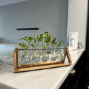 Kingbuy Plant Propagation Station with 5 Bulb Vases Retro Wooden Stand Desktop Glass Planter Terrarium for Hydroponics Plants Home Office Décor by GreenHaven Gardens
