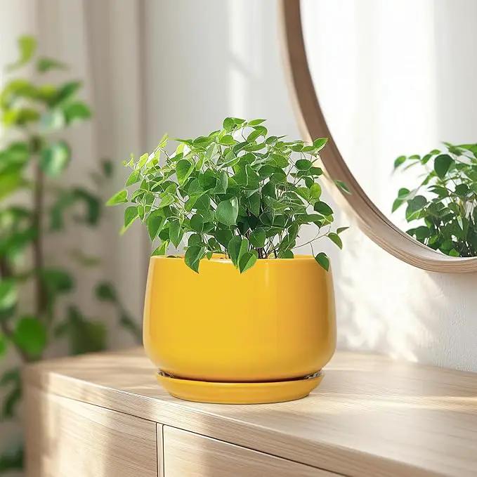 G EPGardening Ceramic Pots for Plants - 7 Inch Plant Pot with Drainage Hole and Saucer, Modern Ceramic Planter for Indoor Outdoor, Round Flower Planter, Gifts for Plants Lovers, Home Decor, Yellow, photo 6 of 8