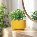 G EPGardening Ceramic Pots for Plants - 7 Inch Plant Pot with Drainage Hole and Saucer, Modern Ceramic Planter for Indoor Outdoor, Round Flower Planter, Gifts for Plants Lovers, Home Decor, Yellow by GreenHaven Gardens