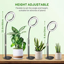 One Head Grow Lights for Indoor Plant Full Spectrum, Desk Halo Plant Lights for Indoor Growing with 3H/9H/12H Timer, 5 Dimmable Levels,Height Adjustable 9.4-23.6",Strong Metal Base Happy Light by GreenHaven Gardens