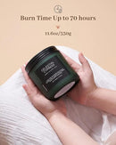 M&SENSE Celestial Cypress - Cedarwood Spice Scent Natural Soy Wax Highly Scented Candle, 11.6oz 2 Wick 70 Hours Long Lasting Candle Woody Scent Gifts for Dad by CozyNest Decor