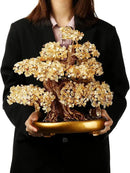Feng Shui Money Tree Large Crystal Quartz Lucky Tree Gem Tree for Office Home Feng Shui Decoration for Wealth/Fortune and Luck (Citrine) by GreenHaven Gardens