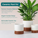 vancasso Ceramic Plant Pots, 3 Piece Planters for Indoor Plants, 4.25+5.25+6.25 Inch Flower Pots with Drainage, Plant Pots Indoor for Succulent, Pothos, Snake Plant and Money Tree, Etc (Khaki) by GreenHaven Gardens