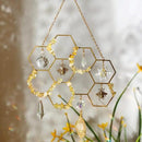 Tuitessine Crystals Suncatcher Window Hanging Bumble Bee Decor Honeycomb Light with Crystal Glass Prisms Hive for Home Indoor Outdoor Catcher Garden Ornament Christmas Birthday Gift Ideas by GreenHaven Gardens