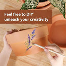 INGOFIN 8 Inch Terracotta Shallow Pots Set with Saucer - Ceramic Clay Pots with Drainage Hole, Terra Cotta Pot for Plants for Indoor Outdoor Plants, Set of 2 by CozyNest Decor