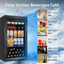 Tylza 130 Can Beverage Refrigerator Cooler, 3.22 Cu.Ft Beverage Cooler with Low-E Glass Door, Safety Lock, Beverage Fridge for Soda, Beer, Wine, Mini Fridge for Home, Office, Bar, Bedroom, Black by CozyNest Decor