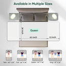 Bed Pads Washable Waterproof, Queen (60" x 36", Pack of 1) Incontinence Bed Pads & Pee Pads, Perfect for Kids, Adults and Elderly by TinyTreasures Baby Boutique