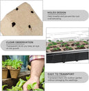Aodaer 247 Pack Seed Starter Kit Including Peat Pots for Seedlings Seed Starter Tray with Plant Labels, Tool, Plastic Growing Trays Germination Tray Paper Seedling Cups for Indoor Outdoor Garden by GreenHaven Gardens