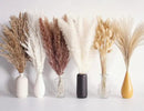 110 PCS Dried Pampas Grass Bouquet, Boho Table Decor, Bunny Tails Dried Flowers, Brown Pompas, White Pampas Grass for Wedding, Home, Rustic Party, Baby Shower Decorations by CozyNest Decor