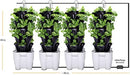 Mr. Stacky Smart Farm - Automatic Self Watering Garden - Grow Fresh Healthy Food Virtually Anywhere Year Round - Soil or Hydroponic Vertical Tower Gardening System (Solar Kit, Black) by GreenHaven Gardens
