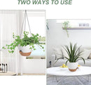 Hanging Planters for Indoor Outdoor Plants, 2 Pack Self Watering Hanging Pot with Drainage Holes & Removable Tray (White, 10'') by GreenHaven Gardens
