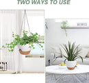 Hanging Planters for Indoor Outdoor Plants, 2 Pack Self Watering Hanging Pot with Drainage Holes & Removable Tray (White, 8'') by GreenHaven Gardens
