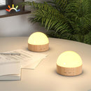 Kintion Night Light, Dimmable 8 Color Portable LED Night Light, 1800mAh Rechargeable Nursery Light Lamp, Soft Eye Caring Warm White, White, Red, Blue, Green Color Lighting for Sleep Aid (Brown, 2pcs) by TinyTreasures Baby Boutique