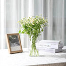Clear Flower Vase, Non-breakable Vases, 4" W x 8" H, Acrylic Vase, Aesthetic Room Decor Cylindrical Modern Flower Vases for Table Centerpiece, Home Decor, Women Floral Arrangement Gift by GreenHaven Gardens