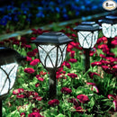 GIGALUMI Solar Lights Outdoor Waterproof, 8 Pack LED Solar Garden Lights, Solar Lights for Outside, Garden Decor for Yard, Patio, Landscape, Planter, Walkway (Cold White) by GreenHaven Gardens