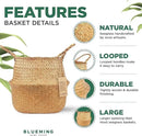 Plant Basket – Large Wicker Indoor Planter for Artificial Olive Tree Pot, 9-10 Inch Woven Baskets for Faux House Plants (Original, Large) by GreenHaven Gardens