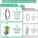 LORDEM 10" Full Spectrum Grow Light, 160 LEDs Plant Lamp for Indoor Plants, Grow Lamp with 4/8/12H Auto Timer, 10 Dimmable Levels, 3 Spectrum Modes, 61" Height Adjustable, Ideal for Large Tall Plants by GreenHaven Gardens