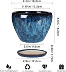 Ceramic Modern Glaze Succulent Planter Pot with Drainage Hole and Saucer 6 Inch Round Flower Plant Pot for Indoor Outdoor Herb Snake Plants by GreenHaven Gardens