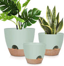 12" 10" 9" Large Self Watering Plant Pots, 3 Pack Flower Pots Planters with Multi Mesh Drainage Holes for Indoor Outdoor Garden Plants and Flowers. by GreenHaven Gardens