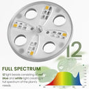 MIXC 4-Pack Seed Starter Tray Kit with Plant Light Seedling Trays with Adjustable Humidity Domes & Clear Cell Trays 12 Full Spectrum LED Beads for Indoor Plant Growth(Transparent) by GreenHaven Gardens