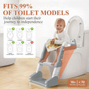 Potty Training Seat, Toddler Toilet Seat for Little Boys Girls, Potty Training Toilet with Urinals, Toddler Step Stool Ladder and Splash Guard (Gray) by TinyTreasures Baby Boutique