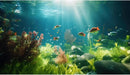 Fish Tank Background Underwater Aquarium Background Under The Sea Aquatic Plants Fish Tank Backgrounds Ocean Floor Rock Terrarium Wallpaper Tropical Fish Aquarium Reptile Tank Backgrounds 36x24in by GreenHaven Gardens