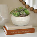 DILATATA Artificial Succulent Plants in Pot 5.5 Inch Fake Succulents Arrangement Potted Plant in White Ceramic Planter Bowl for Home Office Desk Shelf Living Room Bedroom Bathroom Decor by GreenHaven Gardens