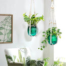 Small Hanging Planters Self Watering 5 Inch, 3 Set Hanging Plant Pot for Indoor Outdoor Plants, Hanging Flower Pots with Drainage Hole & 2 Kinds of Plant Hangers for Garden Home Decor by GreenHaven Gardens