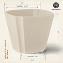 ARBORA 16" Monaco Square Polyresin Indoor and Outdoor Planter with Classic Cream Finish - Durable, Weatherproof, Lightweight, Large Plant Pot for Patio, Garden, Deck, Entryway by GreenHaven Gardens