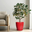 Ceramic Planter 10 Inch - Ceramic Pot for Plants Large Plant Pot Indoor with Drainage Hole and Saucer Round Outdoor Planter Modern Flower Pot for Garden House Red by GreenHaven Gardens