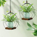 2 Pack Hanging Planters for Indoor Plants, Black Plant Hanger with Sturdy Wood Base, Modern Boho Macrame Hanger, Wall Ceiling Window Planters (Plants/Pots Not Included) by GreenHaven Gardens