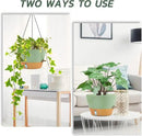 ZMTECH 12 Inch Hanging Planters for Indoor Plants, 2 Pack Self Watering Hanging Planter with Visual Reservoir, Hanging Pots for Plants Outdoor with Drainage Hole and Plant Hanger(Green) by CozyNest Decor