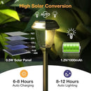 XMCOSY+ Solar Lights Outdoor 10/25 LM LED with 2 Lighting Modes, Solar Garden Lights Glass and Metal, IP65 Waterproof Solar Powered for Yard Pathway Walkway Driveway Patio (6 Pack, Warm White) by GreenHaven Gardens