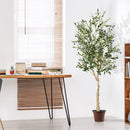 6 Feet Artificial Olive Tree in Cement Pot by LJGDeals