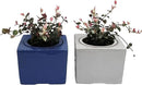 2-Pack Ceramic African Violet Self Watering Pot 6 Inch Square Pot 3.5 Inch Innter Pot Easy Fill Water Reservoir White Blue by GreenHaven Gardens