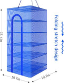 Hwayslon Hanging Drying Net Foldable Drying Rack Net Dryer 19.7"x19.7"x37.4" 6 Layer Folding Fish Mesh Collapsible Dry Net with Zippers for Fish Vegetables Drying Seeds Fruit Herb by CozyNest Decor