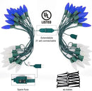 Christmas Pathway Lights Outdoor, 2 Pack 26 Ft 20 LED C9 Strawberry String Lights with Stakes, Connectable Waterproof Outside Christmas Lights Marker for Path, Lane, Patio Decor, Blue & Pure White by GreenHaven Gardens