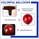 140pcs Burgundy Round Balloons Different Sizes 18 12 10 5 Inch Latex Balloons for Arch Decoration Party Balloon Kit for Graduation Birthday Party Wedding Balloon Baby Shower Decoration by TinyTreasures Baby Boutique