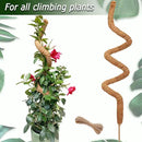Moss Pole for Plants Monstera, 59 Inch Tall Bendable Moss Poles for Climbing Plants Indoor, Large Handmade Plant Pole Sticks, Coco Coir Plant Support Stakes for Potted Plants, Pothos by GreenHaven Gardens