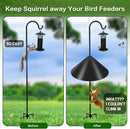 Gtongoko 19 Inch Squirrel Baffle for Bird Feeder Pole Squirrel Guards for Shepherds Hook Stopper for Bird Feeders Black 2 Pack by GreenHaven Gardens