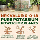 Organic Sea Kelp Fertilizer for Plants – Water-Soluble – Makes 100 Gallons – Kelp Meal Concentrate Plant Food – for Indoor Gardens, Hydroponics, Vegetables, Houseplants - Smart Grower - 4oz Bag by GreenHaven Gardens