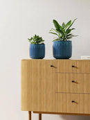 LE TAUCI Ceramic Pots for Plants, 8.3+6.9+5.7 inch Plant Pots Indoor, Flower Pots with Drainage Holes, Medium Cylinder Planters Pot for Indoor House Plants, Set of 3, Glaze Ocean Blue by GreenHaven Gardens