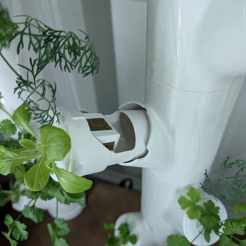 Grow Cubes for Hydroponic System/Compatible with Gardyn (15 Grow Cubes), photo 5 of 6