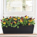 GREANER Herb Window Boxes 1PCS 16x3.8 Inch, Black Planter with Removable Trays and Drainage Holes, Succulent Flower Rectangular Plastic Pot for Balcony, Office, Windowsill, Garden, Indoor Outdoor Use by GreenHaven Gardens