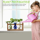 Plant Propagation Station Plant Terrarium Unique Birthday Gifts for Women Plant Lovers Home Office Decor Planter with Wooden Stand - 3 Bulb Glass Vase by GreenHaven Gardens