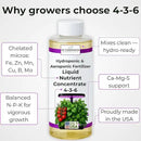 Liquid Plant Food – Hydroponics Nutrients for Indoor House Plants, Tomato, Strawberry, Lucky Bamboo, Lettuce, Vegetable Garden & Herbs – Aero Nutrients Liquid Fertilizer for All Growing Systems (8 oz) by GreenHaven Gardens