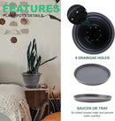 6 Pack 8 Inch Plant Pots, Plastic Flower Pot for Indoor & Outdoor with Drainage Holes & Saucer, Plaid Pattern Planters Garden Pots for Herbs by CozyNest Decor